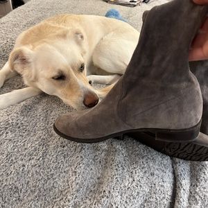 Stuart Weitzman size 10 thigh high grey suite boots block heel to the knee
